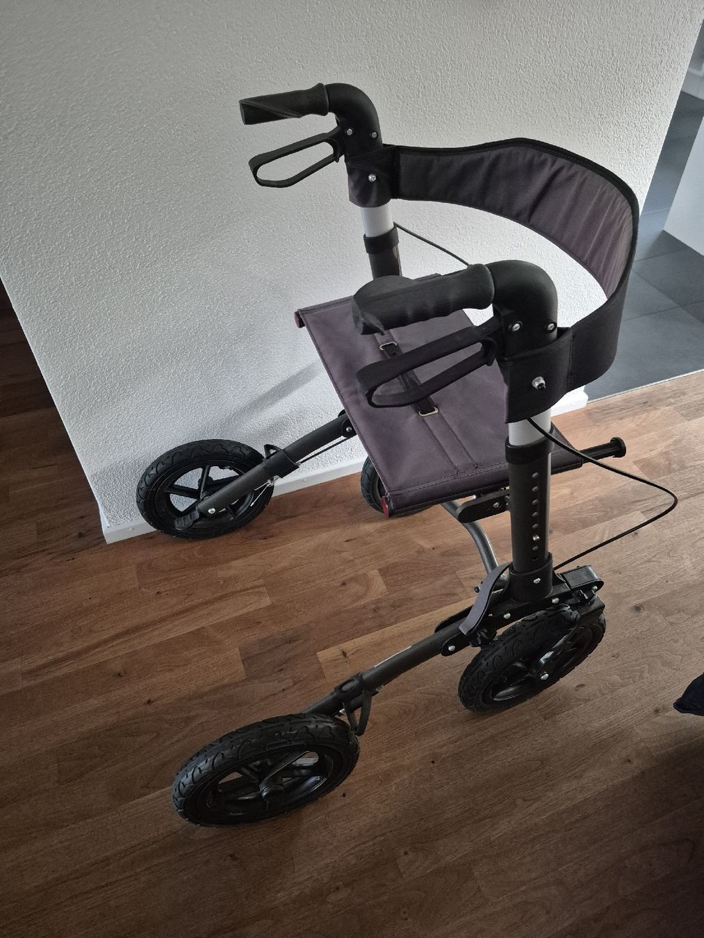 Ausili per la deambulazione: Segler Rollator Air – Usato da Immensee venduto da Ginamaria7 2