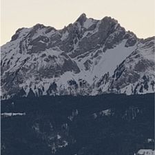 Profile image of Murseli85