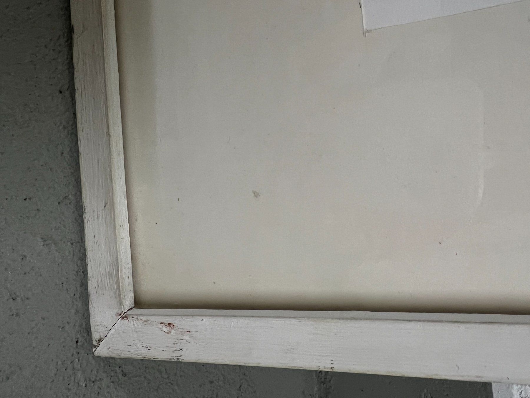Dipinti: Originalgemälde / Mischtechnik 50 x 62 cm – Usato da Turgi venduto da SHK 7