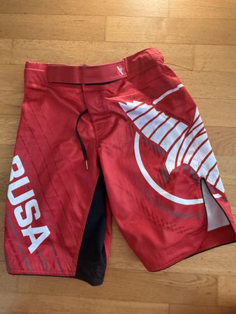 Hayabusa MMA Shorts Chikara 4 - Rot