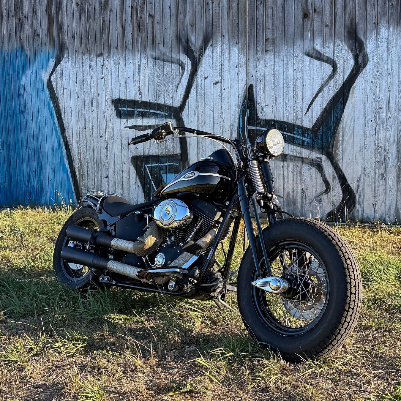 Harley-Davidson Cruisers: HARLEY-DAVIDSON SOFTAIL FLSTSCI Springer Classic – D'occasion à Kaltbach par remo_b2 3