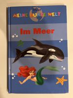 Disney Buch Meine bunte Welt Im Meer guter Zustand