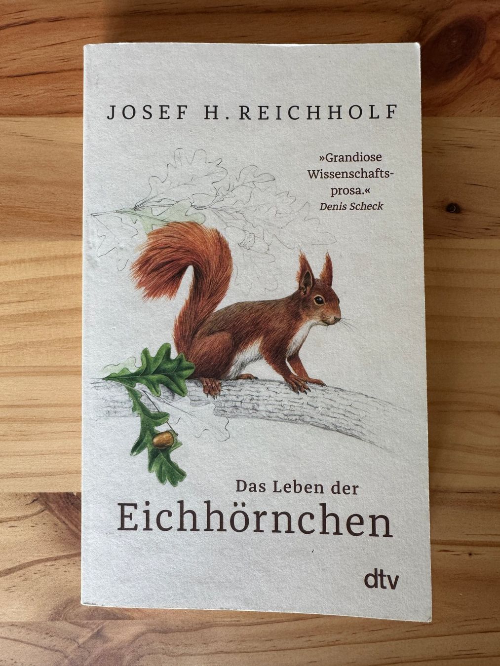 Bücher: Das Leben der Eichhörnchen Buch Josef H. Reichholf – Gebraucht aus Berg am Irchel von Zweiti_Chance