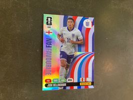 Panini Adrenalyn