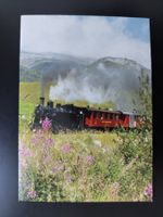Dampfbahn Furka-Bergstrecke mit Glacier Karte