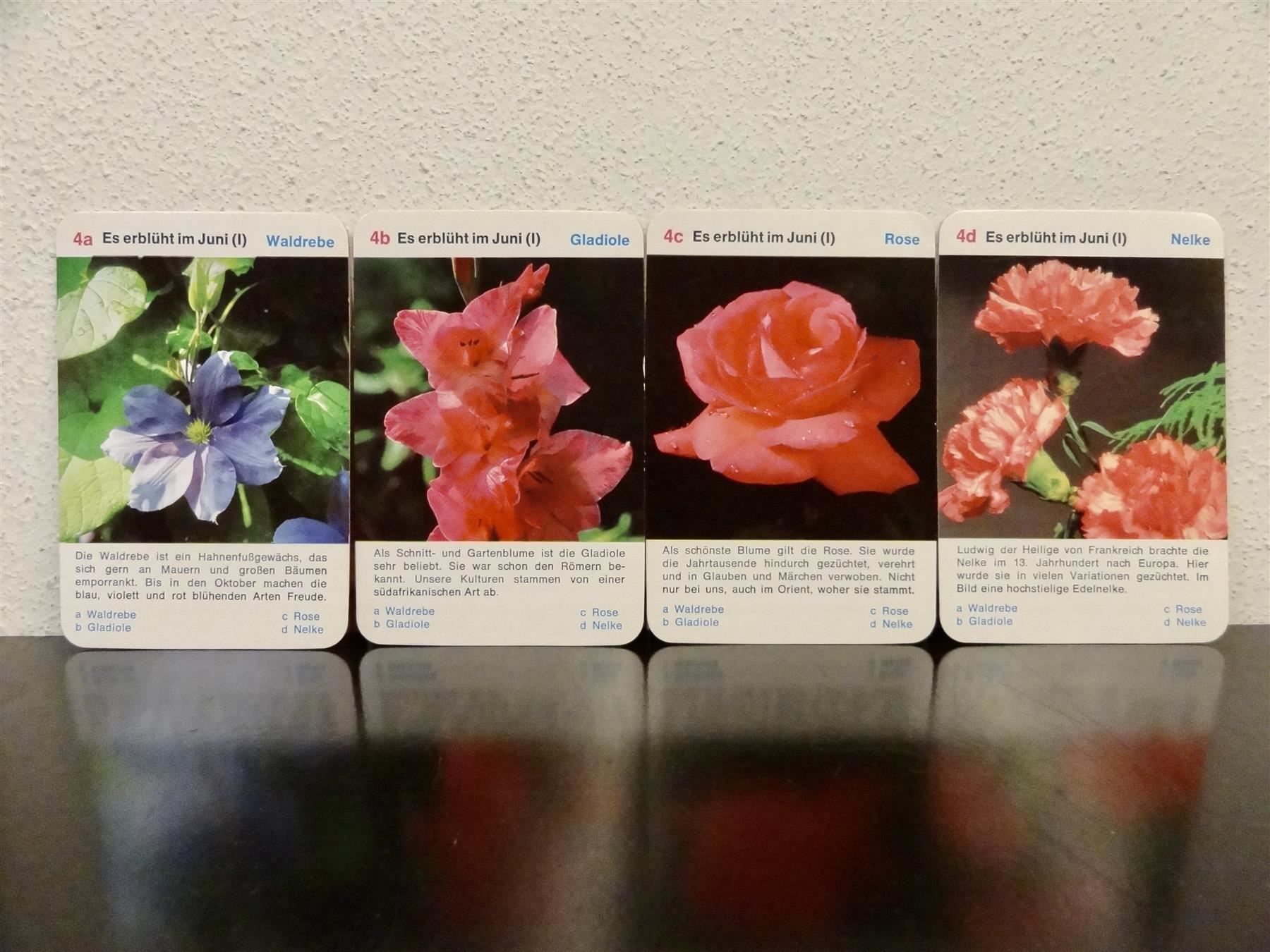 Giochi: altes Quartett BLUMEN-QUARTETT BLUMEN – Usato da Kerzers venduto da wisaundso 6