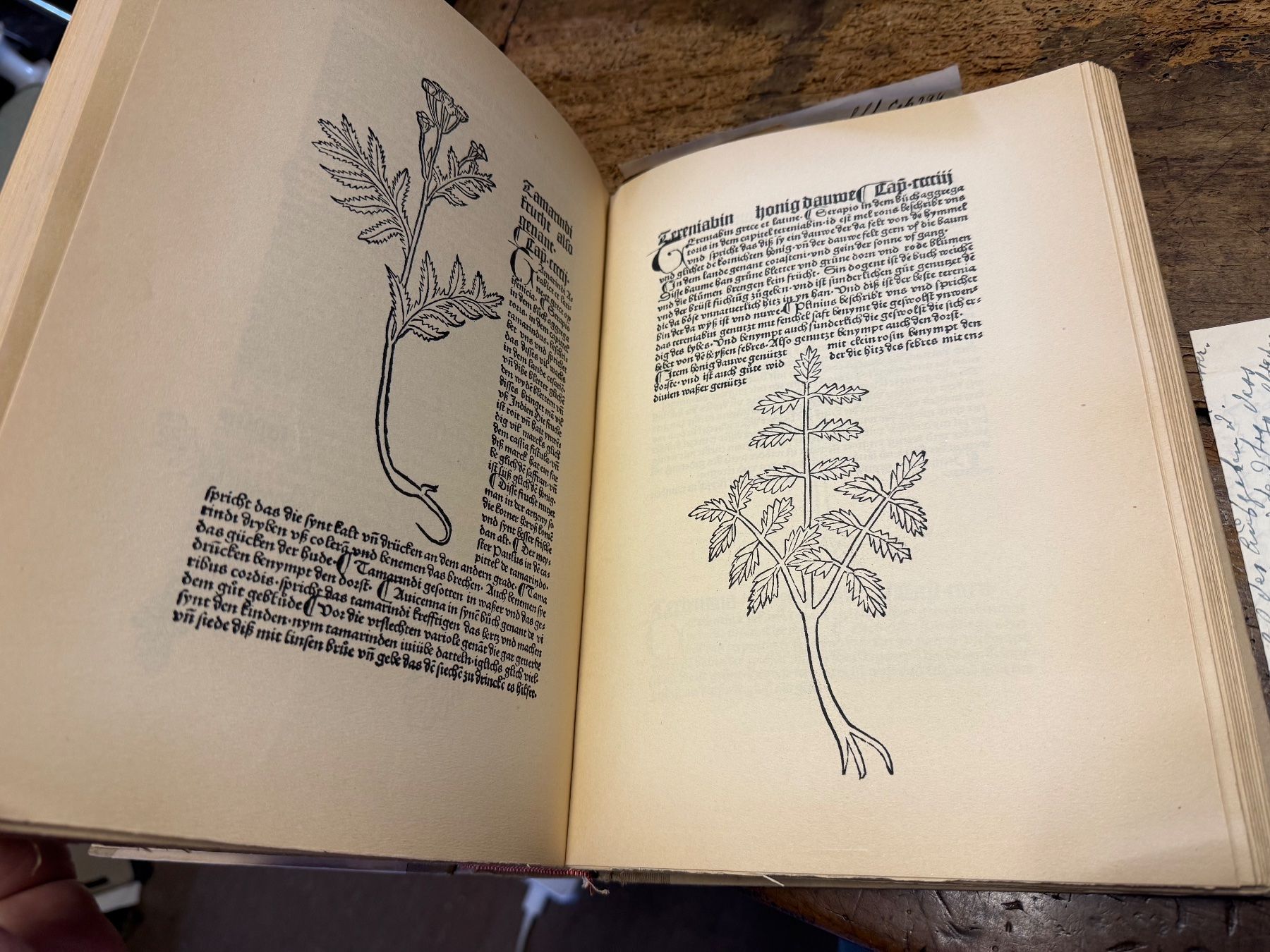 Libri: HORTUS SANITATIS Peter Schöffer Reprint – Usato da Bern venduto da Jwpm66 3