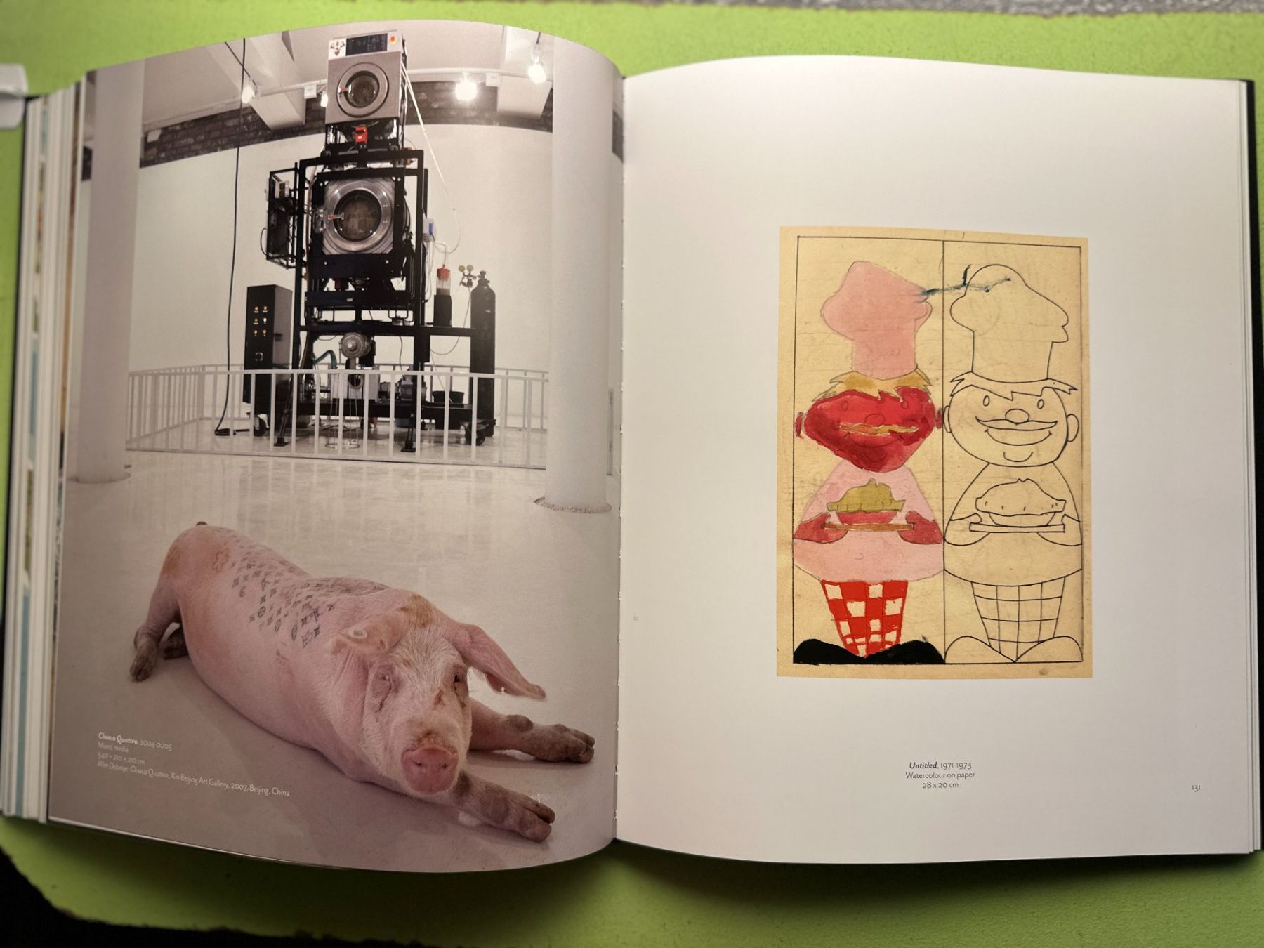 Libri: Wim Delvoye. Museum Tinguely Basel 2017 – Usato da Zürich venduto da allp 6