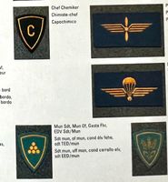 Abzeichen Schweizer Armee Insignes l'armée suisse Distintivi