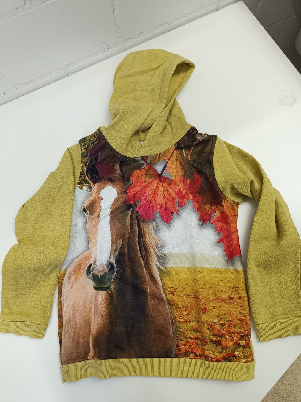 Pullover & Sweatshirts: Pullover Gr. 116/122 – Gebraucht aus Ehrendingen von Cheronimo2