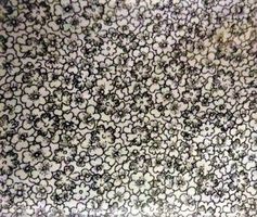 Baumwollstoff 50 x 150 cm feine Blümchen schwarz weiss