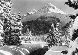 Arosa (GR) Winterpartie in der Isla – Verschneiter Wald G