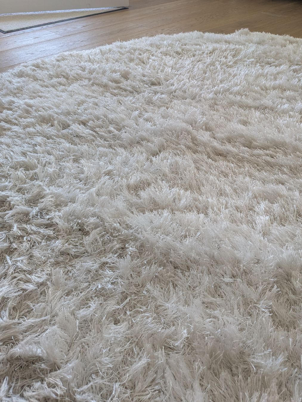 Tappeti: Langhaar Teppich – Usato da Zizers venduto da Jolo17 2