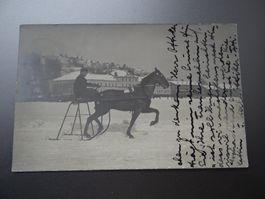 Alte Ansichtskarte Pferdeschlitten ab CHF 1.--
