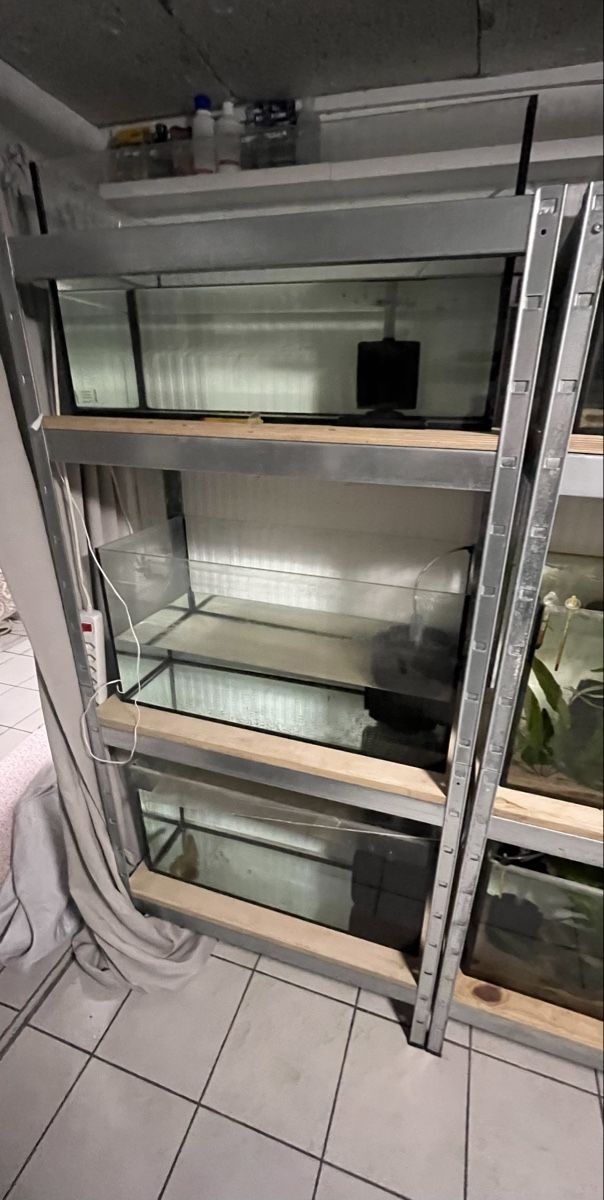 Aquarium: Aquarienregal Zuchtanlage (3 Becken + 3 Luftfilter) – Gebraucht aus Merenschwand von vin_p6jy 3