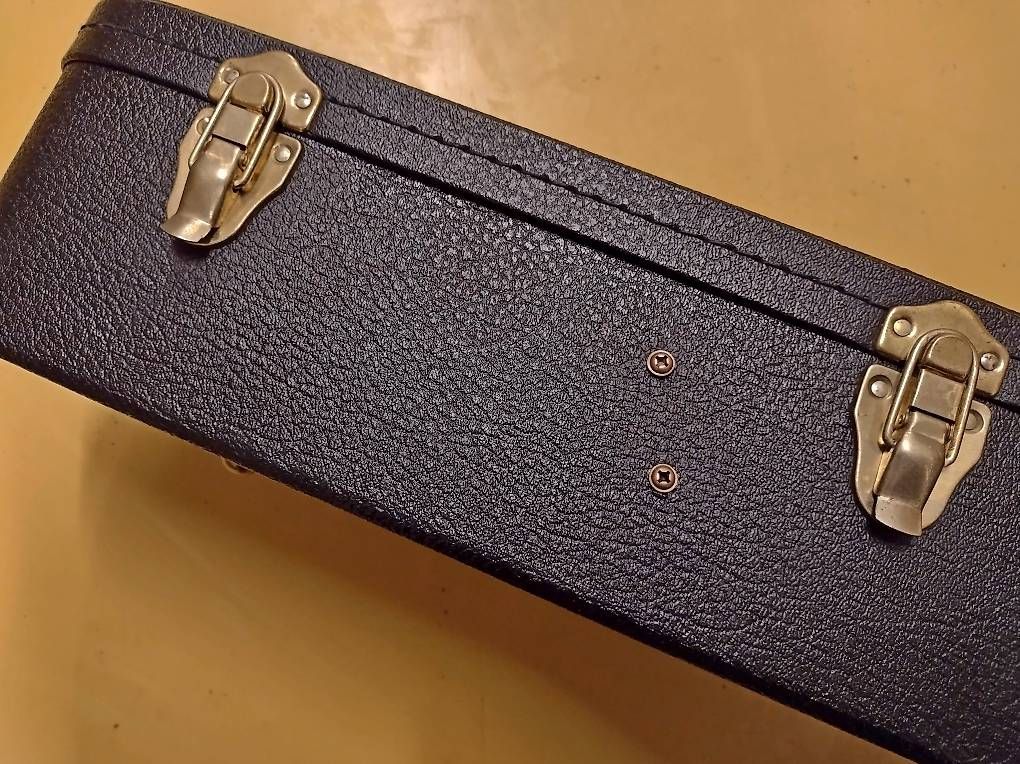 Gibson Strumenti musicali: Gibson Case Dreadnought Plüsch BLAU Gitarrenkoffer – Usato da Basel venduto da x-hobby 4