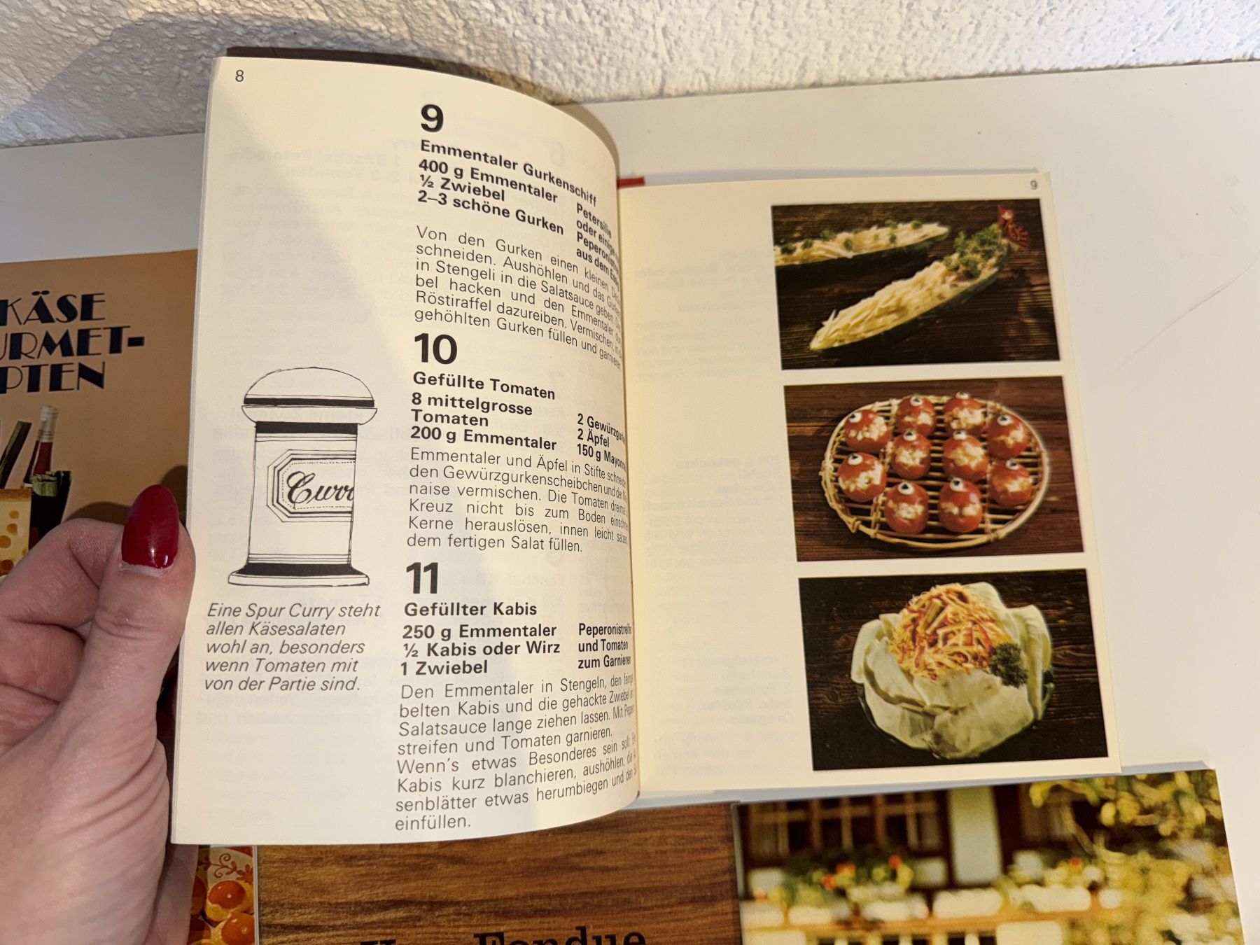 Libri: BÜCHER: Vom Schweizer Käse – Usato da Grosswangen venduto da Second_hand_paradise 3