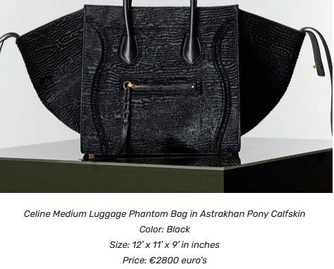 Celine Borse da donna: Céline Luggage Phantom Taache / sac – Usato da Collonges venduto da Auganien 2