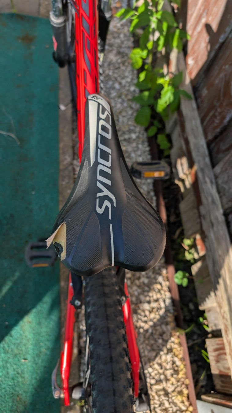 Velos: Scott Scale JR 24 – Gebraucht aus Seengen von Trekremedy 6