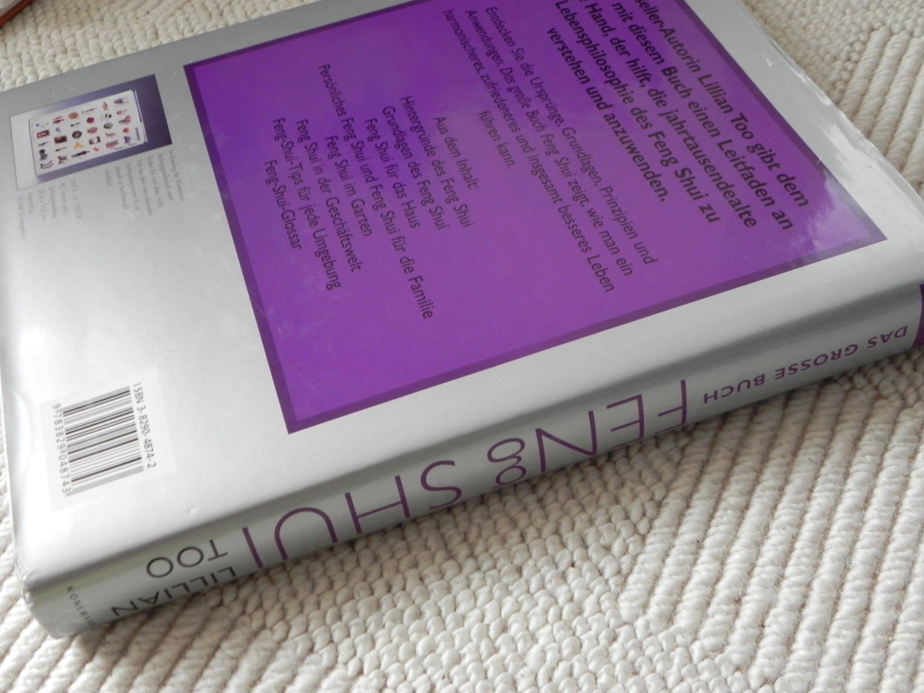 Libri: Feng Shui - Das grosse Buch von Lillian Too – Usato da Stallikon venduto da pcerny16 1