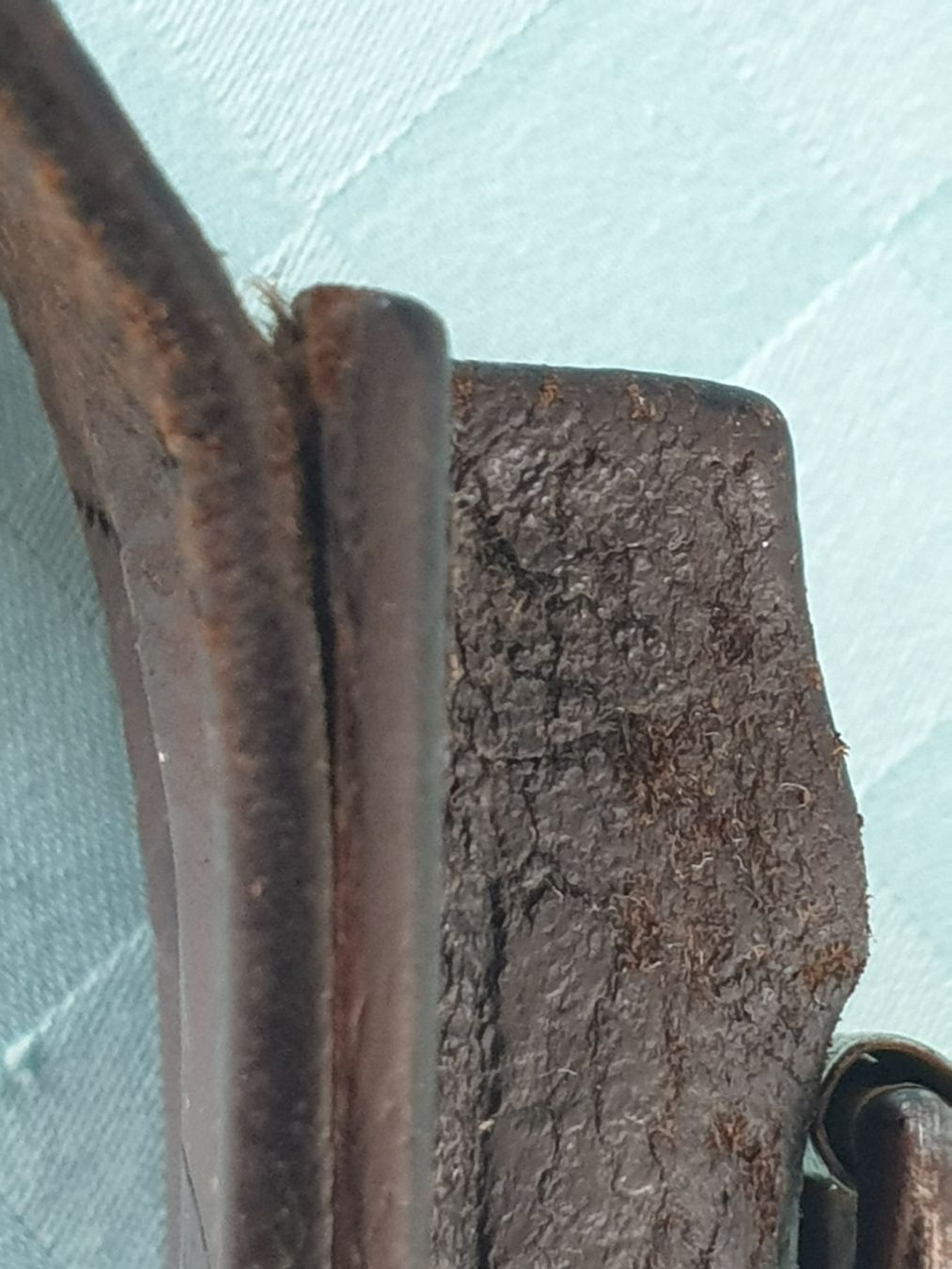 Schweizer Armee Armi bianche: Schweizer Bajonettfrosch 1893 CHR. Blaser Bern Original – Usato da Mörschwil venduto da spirspi 9