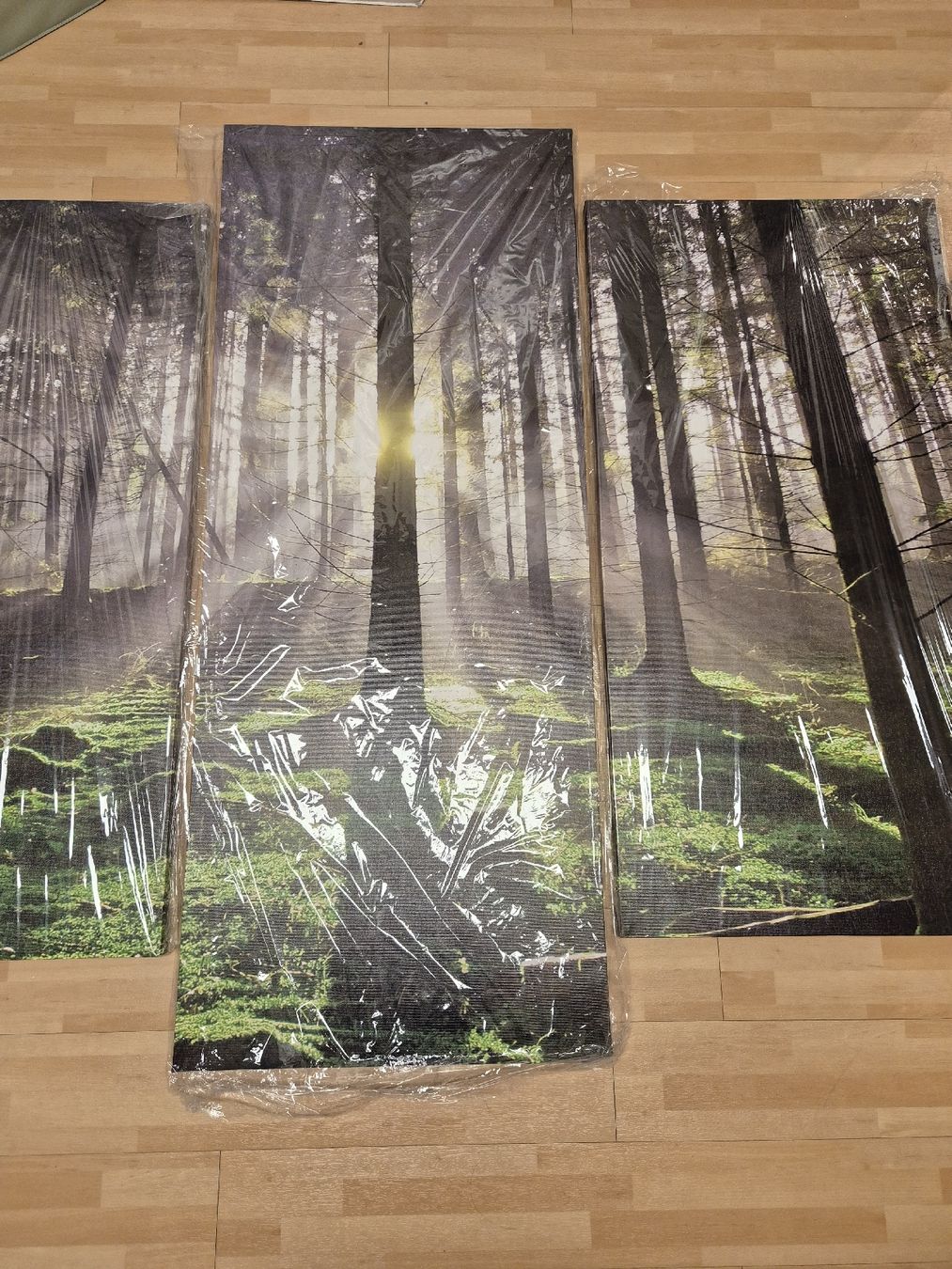 Gemälde: Leinwandbild "Wald" – Neu und originalverpackt aus Embrach von TMCHZ 1
