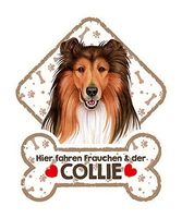 Hundeschild mit Saugn.COLLIE HIER FAHREN