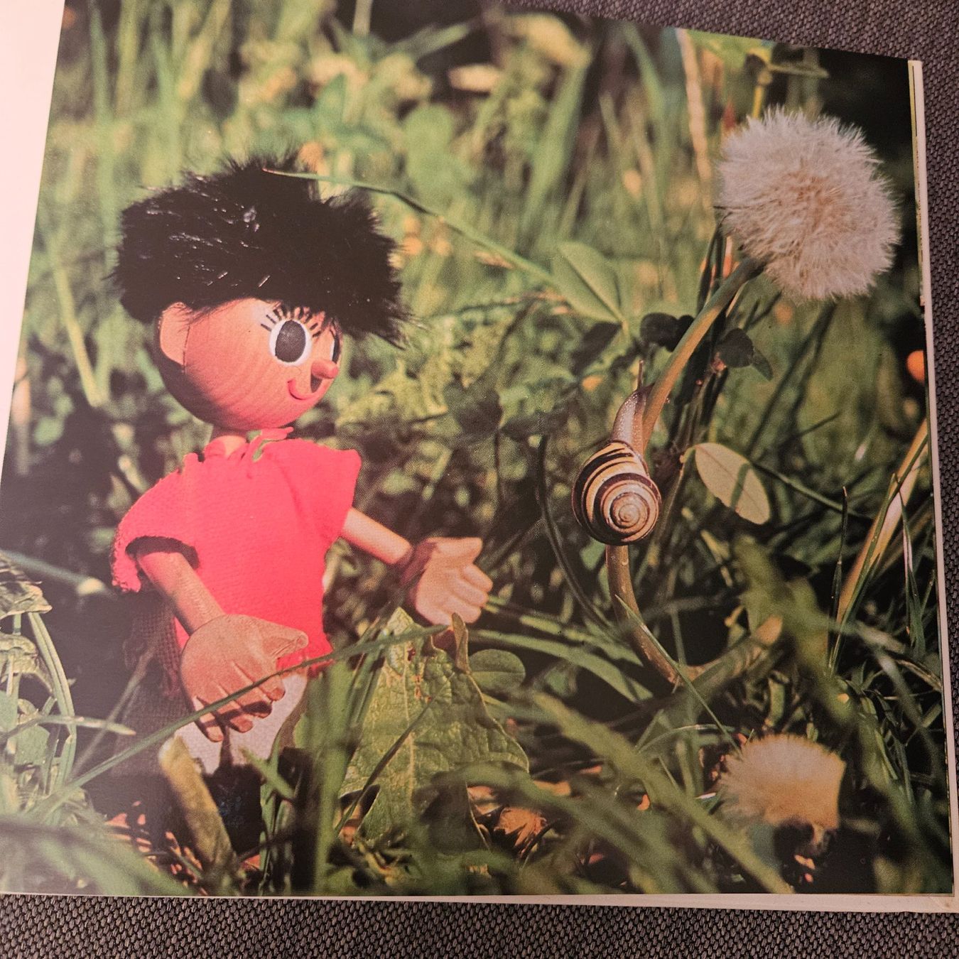 Libri: Mit Baski auf der Sommerwiese – Nuovo (secondo la descrizione) da Uster venduto da Sonnenblume212 3