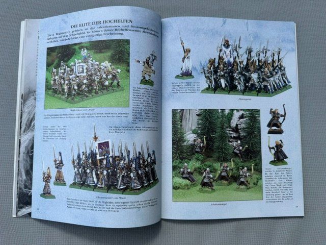 Libri: Warhammer - Armeebuch - Hochelfen - 6. Edition – Nuovo (secondo la descrizione) da Biberstein venduto da Lou13lou 2