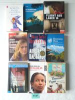 9 Bücher – Romane - Konvolut