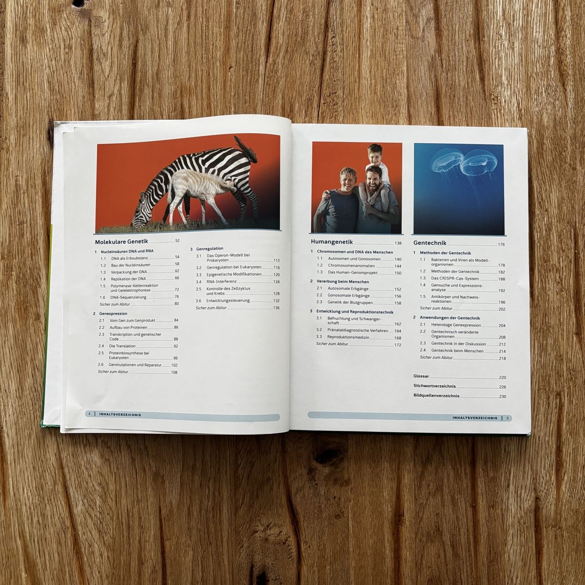 Libri: Westermann GRÜNEREIHE Genetik Buch – Usato da Obernau venduto da dav1de 4