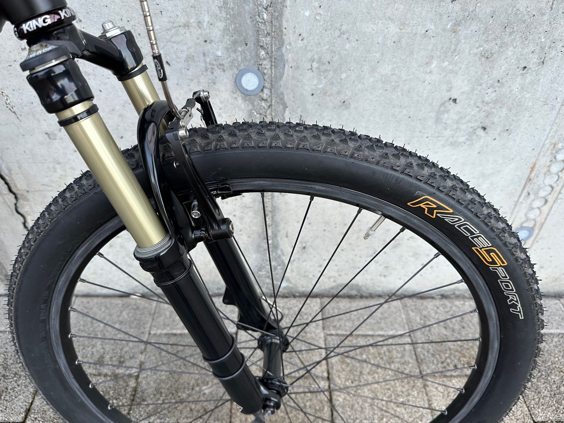 Biciclette: Mountainbike Principia MSL e Pro – Usato da Richterswil venduto da moellerdeplazes 9