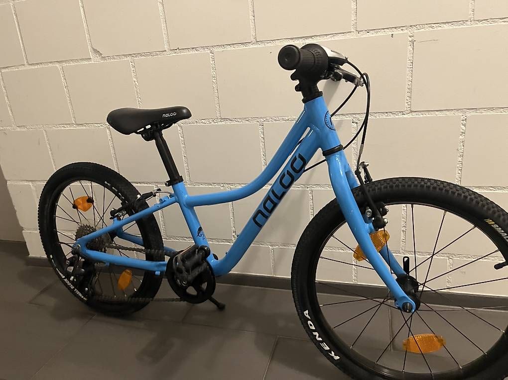 Biciclette: Naloo Chameleon 20 Zoll – Usato da Münsingen venduto da nicole19198