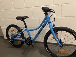 Naloo Chameleon 20 Zoll