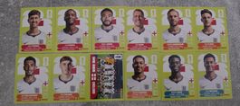 Panini WM 2026 Sammelkarten England