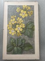 Signierte Blumenzeichnung gerahmt 44,5 × 27,5 cm