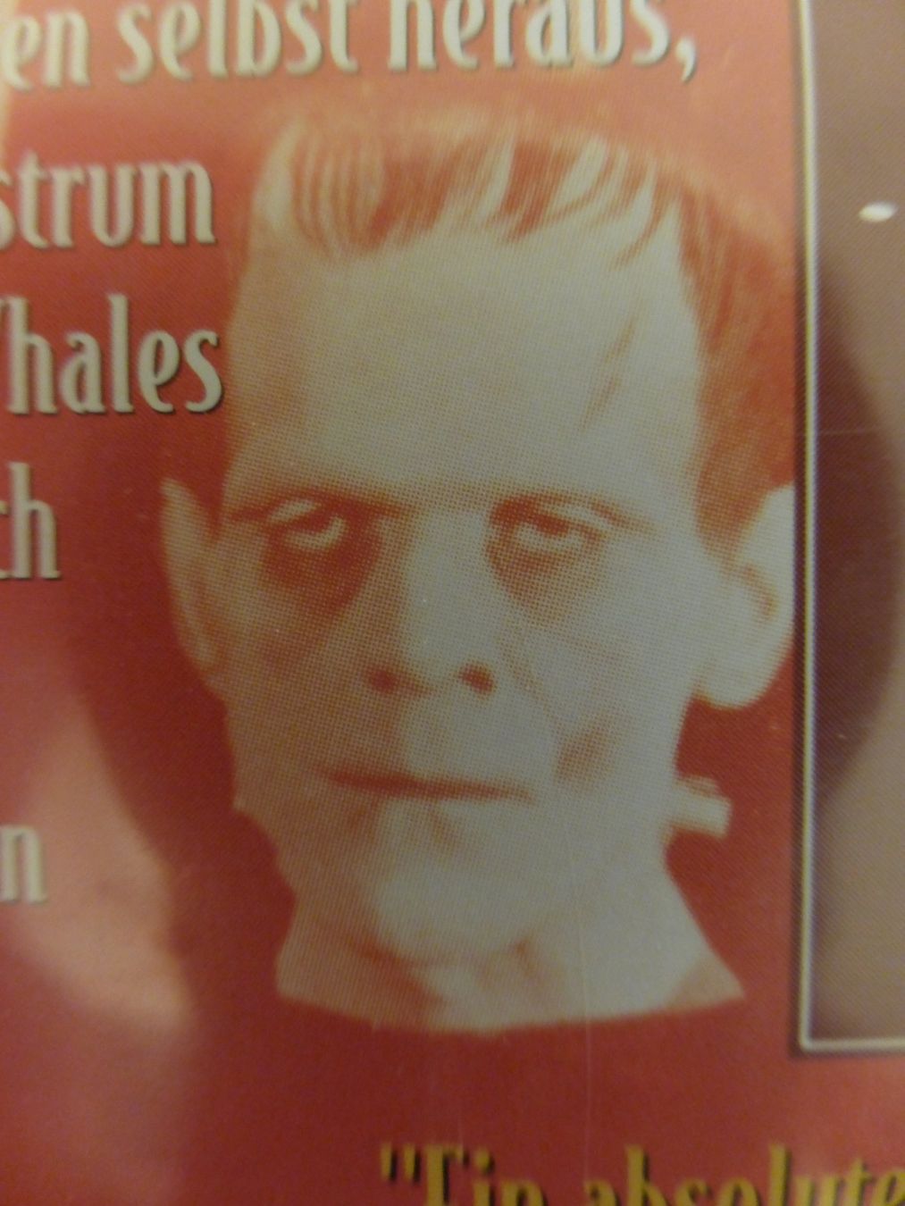 Tutti i DVDs: Frankenstein Boris Karloff DVD – Usato da Zumikon venduto da psisound 6