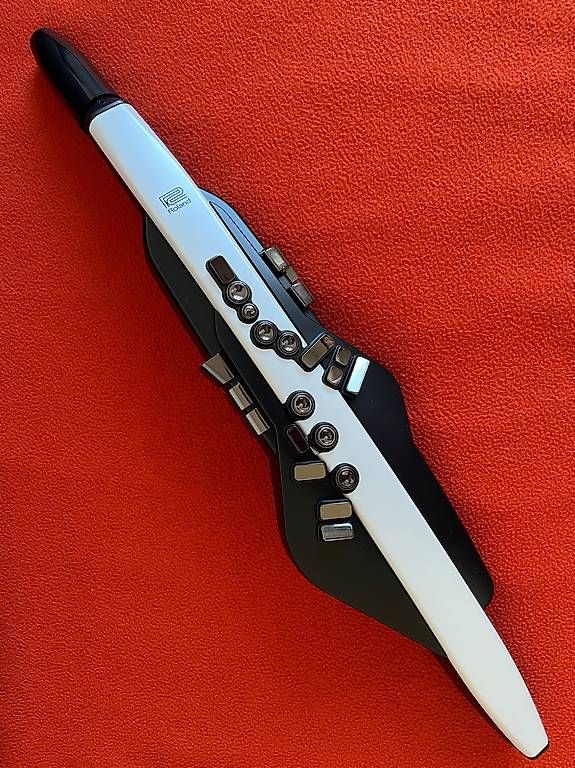 Roland Strumenti musicali: Aerophone Roland AE-20 – Usato da Lausanne venduto da sbar224