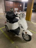 Triolo E3800 Elektromobil weiss neuwertig