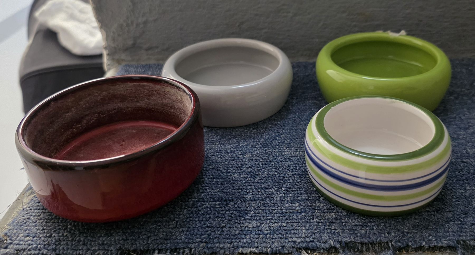 Coupes: Futterschalen für Nager – D'occasion à Suhr par Design_by_Debi