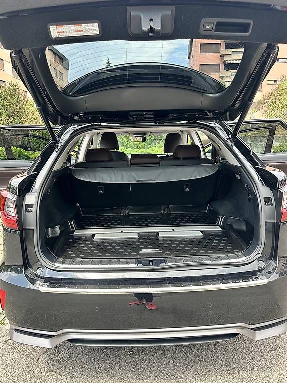 Lexus Automobili: Lexus RX450H – Usato da Delemont venduto da nadea70 1