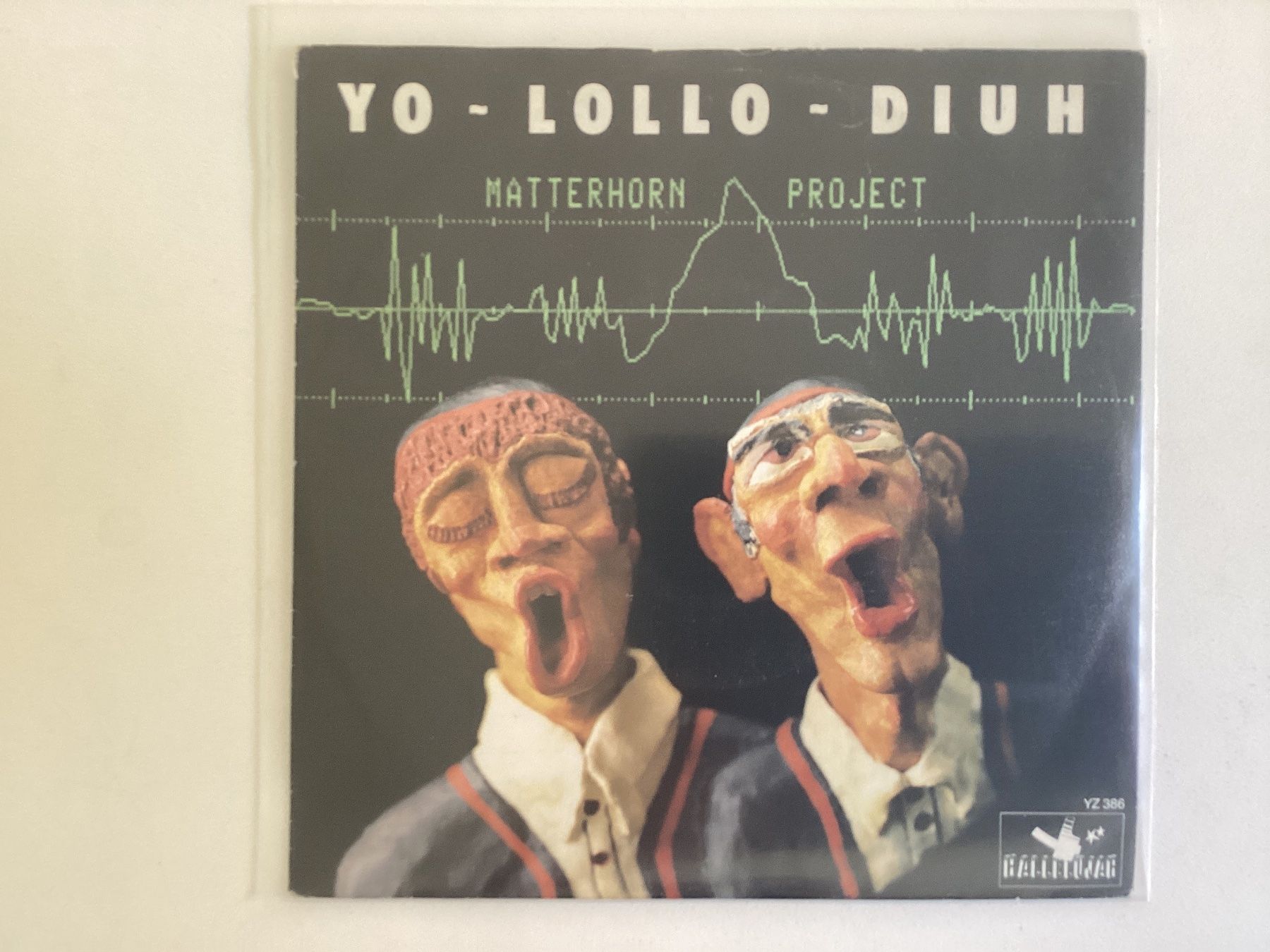 Dischi in vinile: Matterhorn Project Single - Yo Lollo Diuh – Usato da Gutenswil venduto da Hamzian