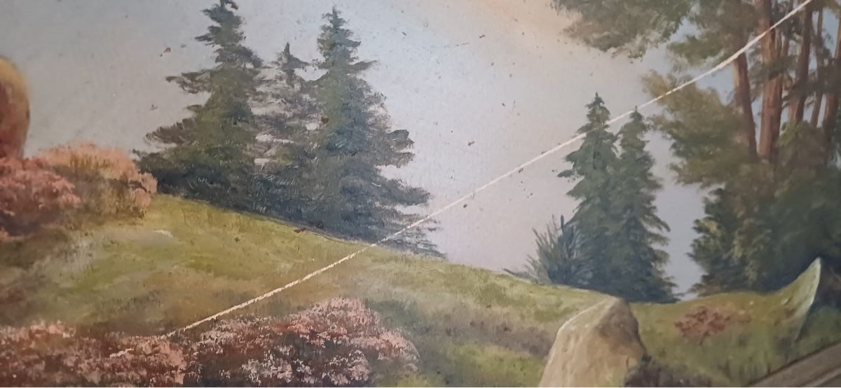 Dipinti: Landschafts Bild – Usato da Flawil venduto da Naphtali 6