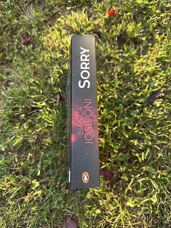 Libri: Sorry – Usato da Heimberg venduto da nic_679y 1