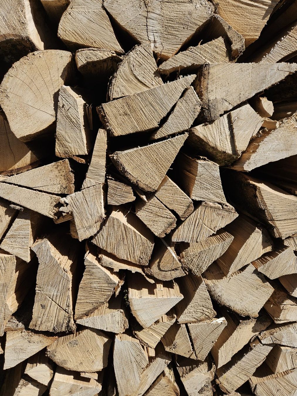 Articoli in legno: Buchenbrennholz Buche – Usato da bazenheid venduto da holzgibtwarm