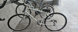 Velo / Fahrrad