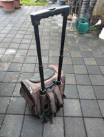 GebrauchteTasche, Rucksack, Trolley für kleine Hunde