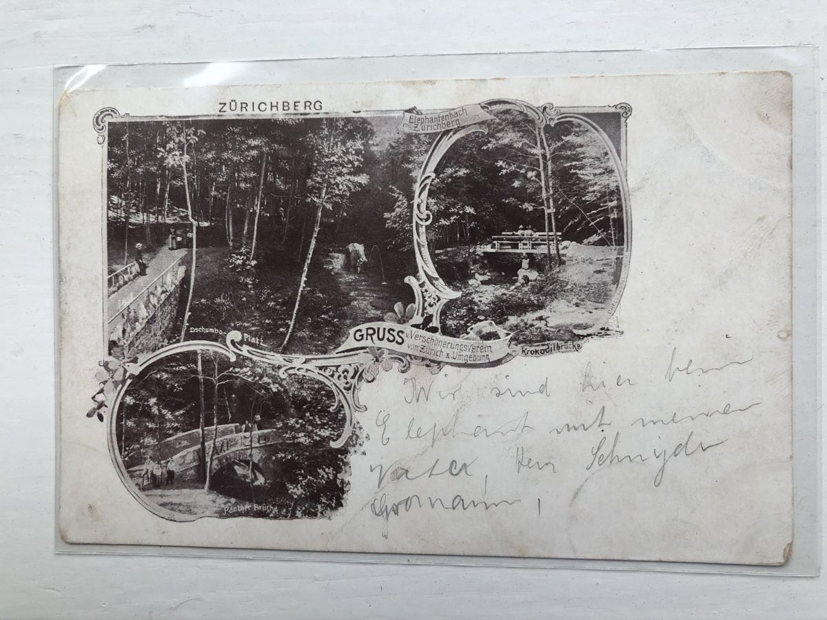 Cartoline postali: 6 antike Ansichtskarten STADT ZÜRICH – Usato da Lufingen venduto da Rac0 4