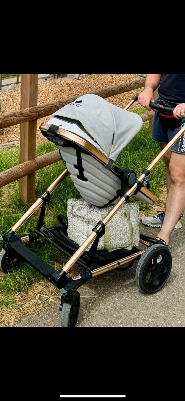 Kinderwagen: Seed Papilio Kinderwagen Rose Gold – Gebraucht aus Seewen SO von cuisinier90