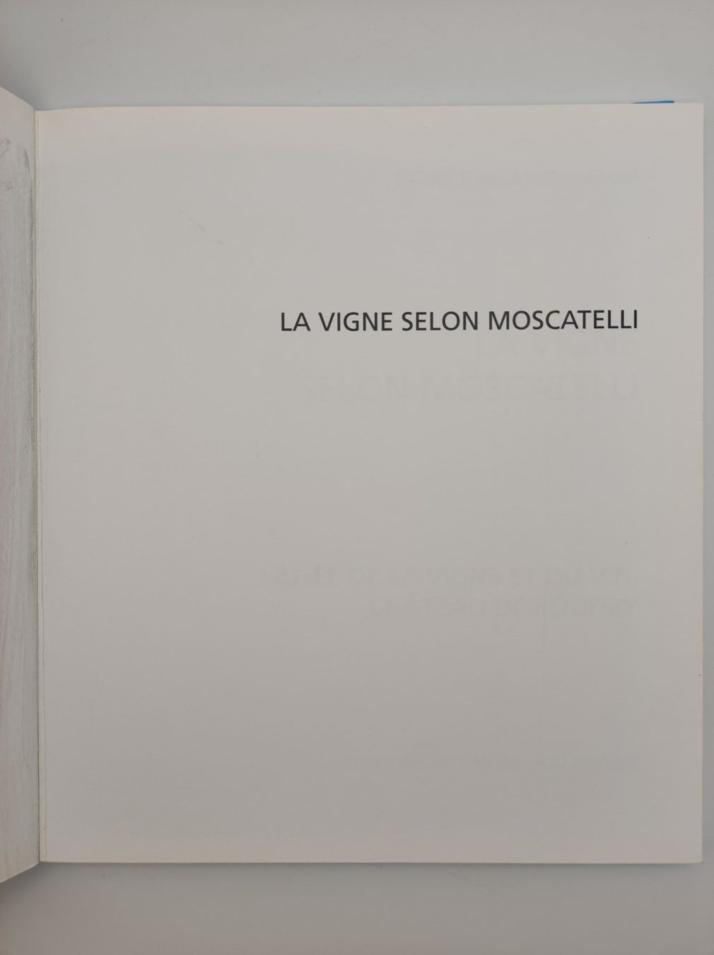 Libri: WEIN - PATRICE ALLANFRANCHINI – Usato da Goldach venduto da Gaip 3